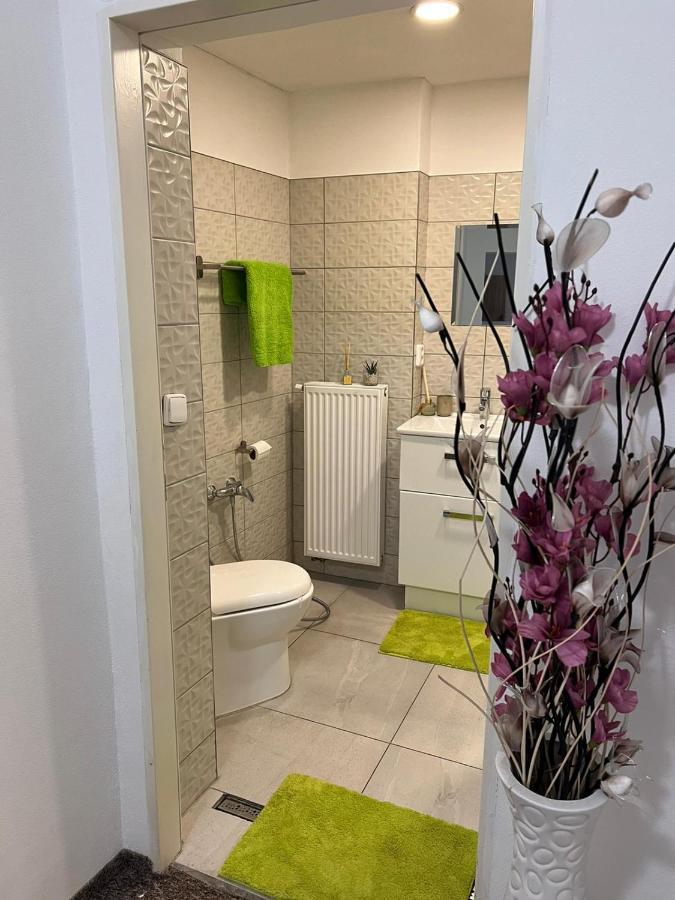 Thermal Apartments Teplice Esterno foto